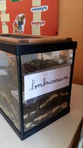 Lombricarium