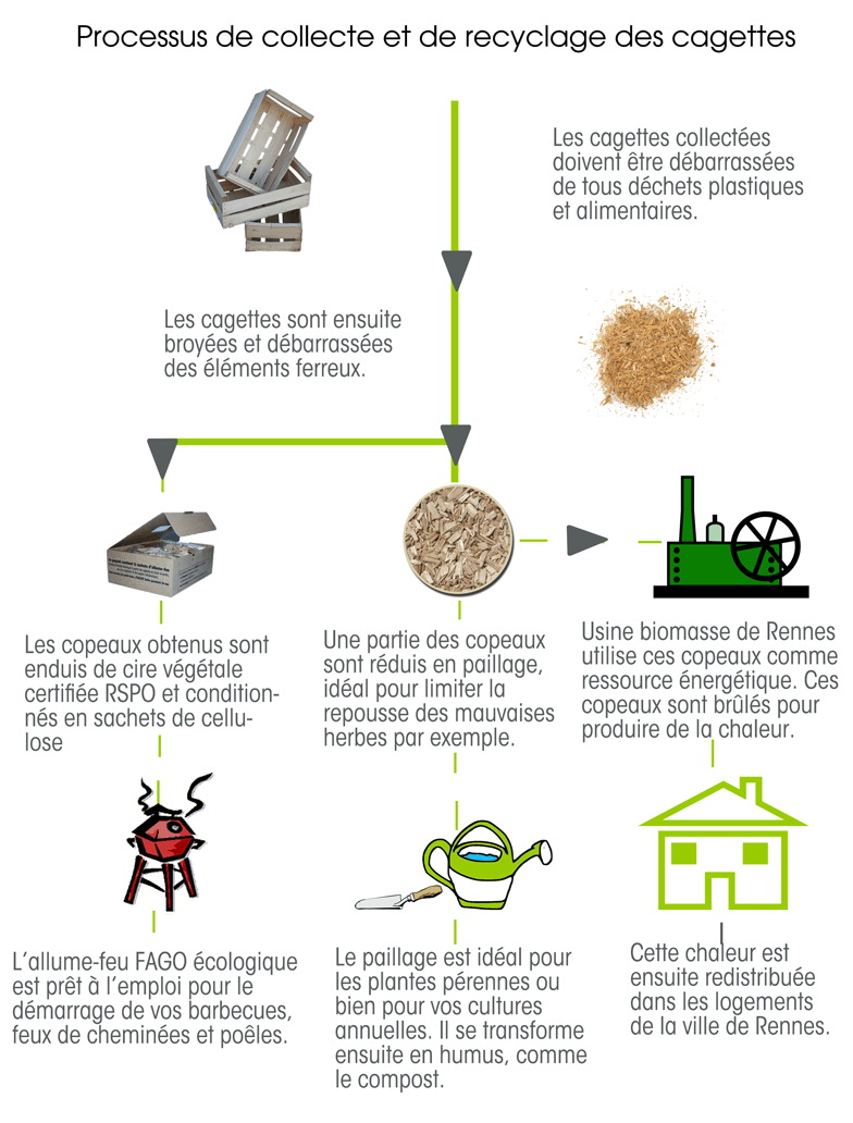 Processus Cagette