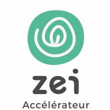 Logo Zei 2020 04